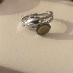 Dolphin mood ring